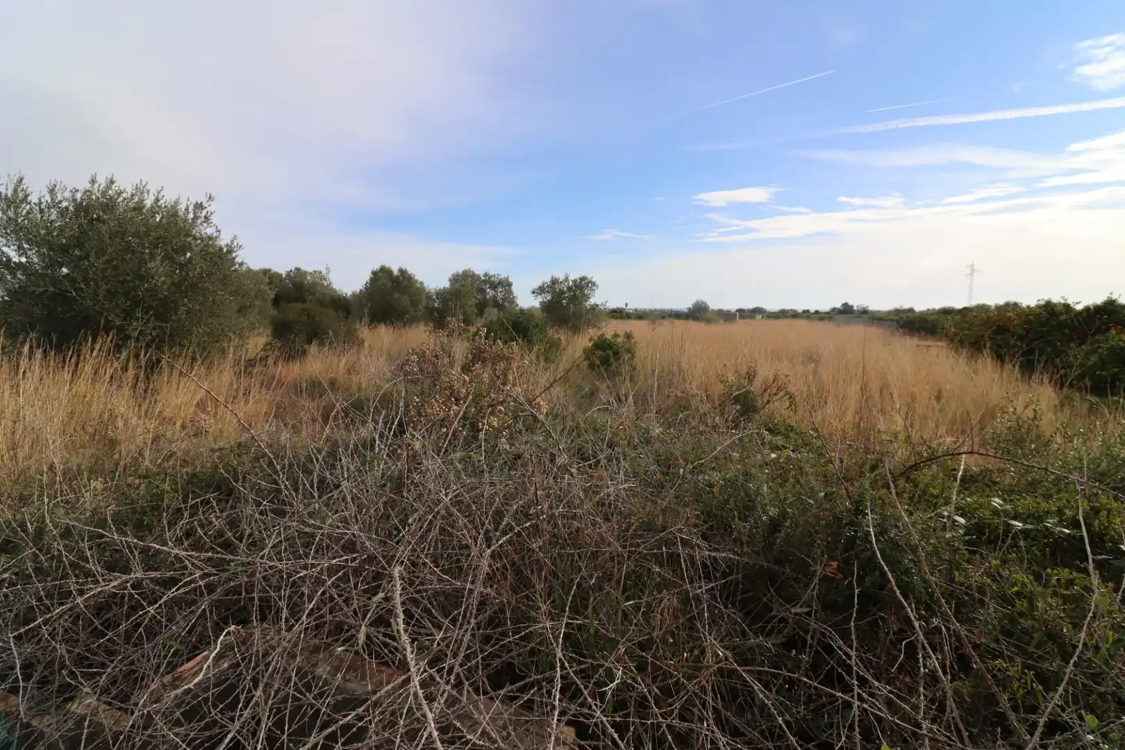 Rural land for sale in Partidas de interior - Zona Rústica