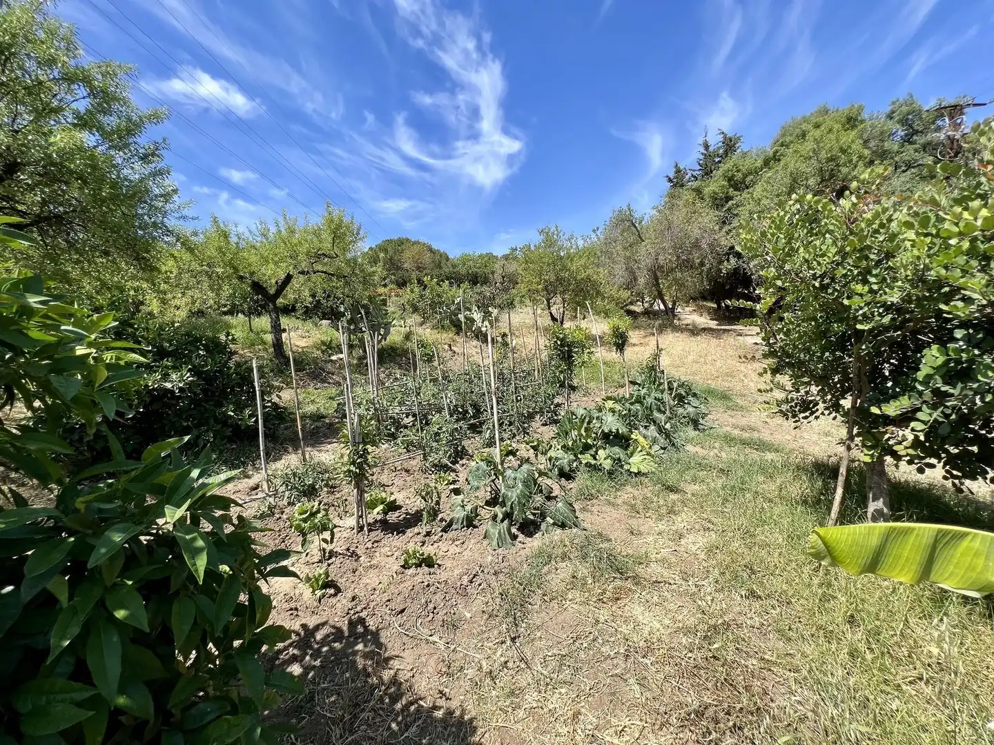 Casa o chalet en venta en Estepona con Aire acondicionado, Terraza y Piscina