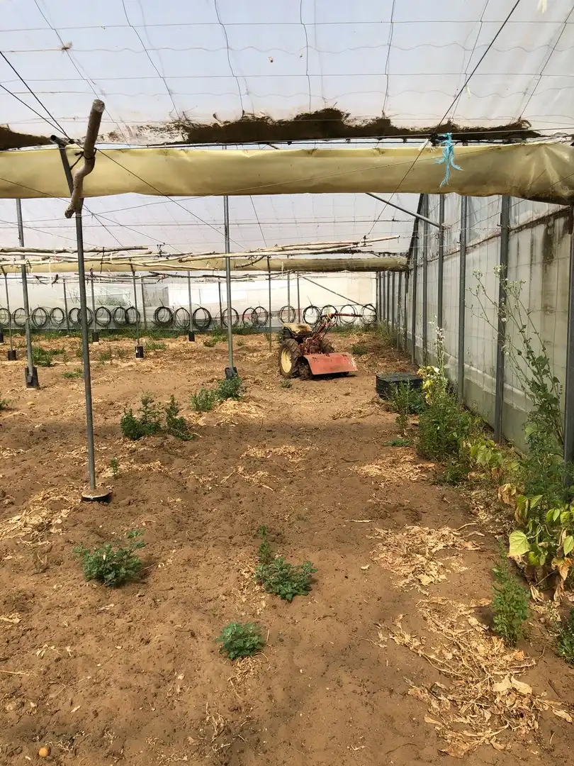 Terreni e lotti in vendita a Barbate ciudad, imagen 40