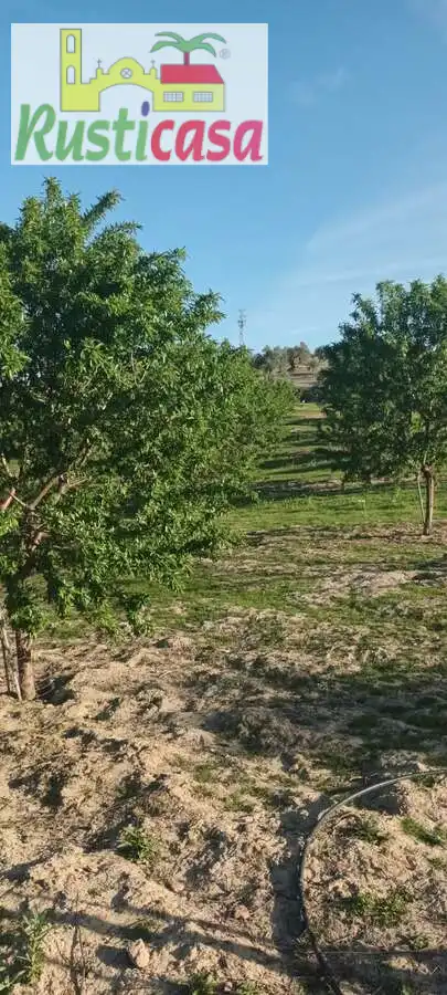 Terreni e lotti in vendita a Sevilleja, imagen 18