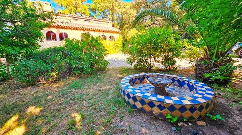 Foto 3 de Finca rústica en venda a Los Marines, Huelva