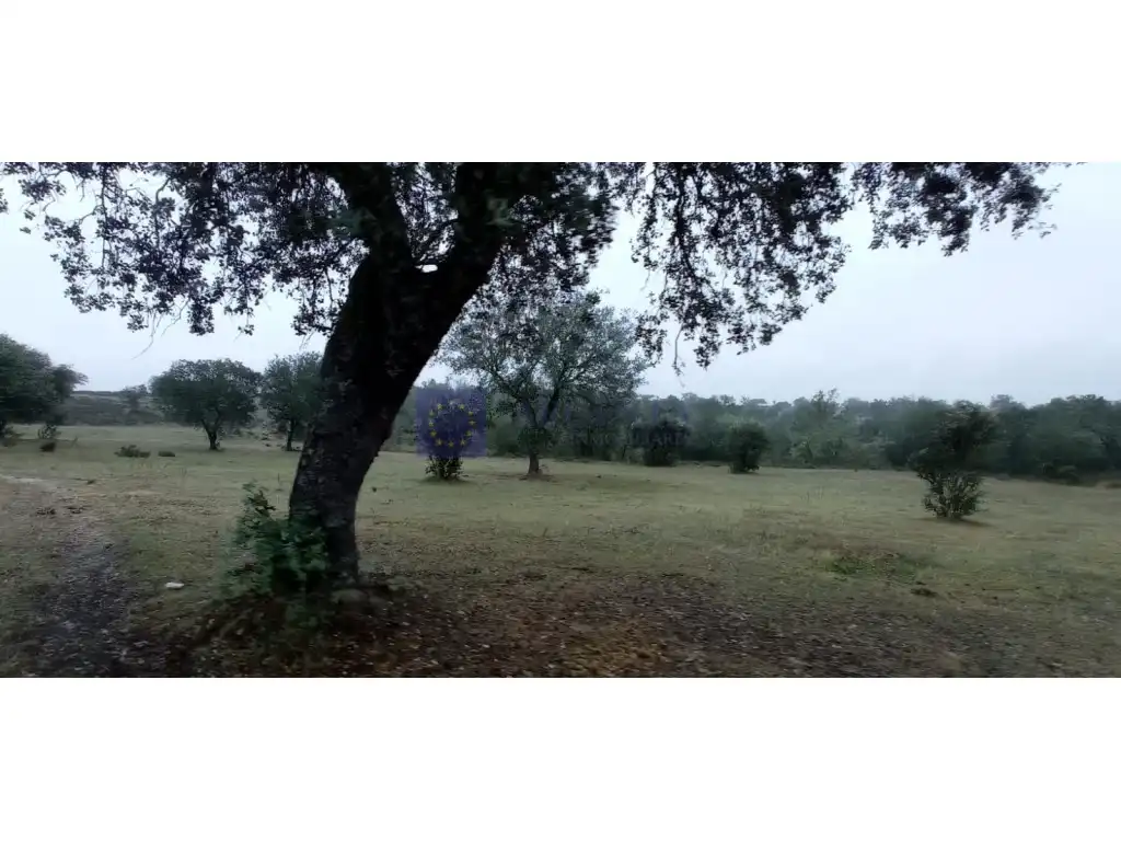 Maison à vendre à Carretera Rosalejo, imagen 5