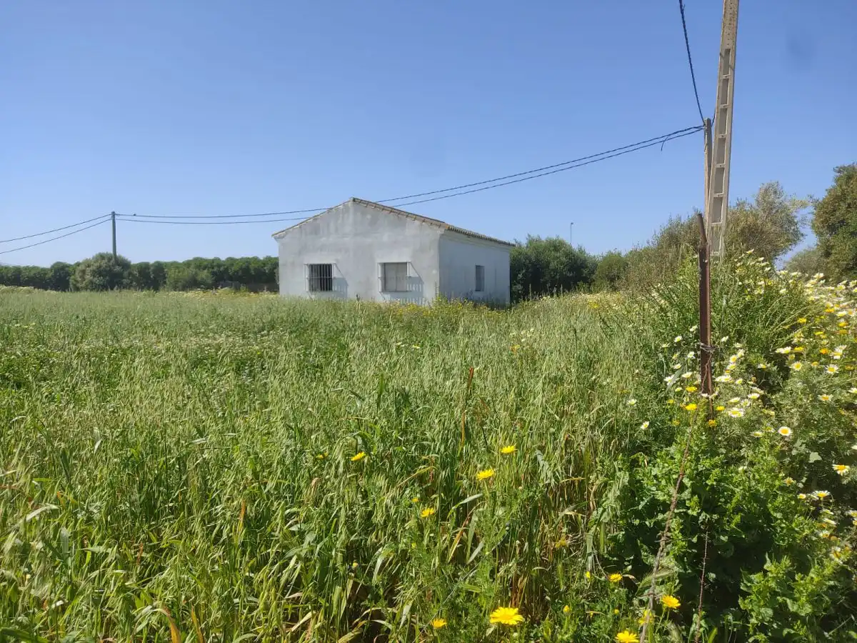 Parc. Rúst. en venta en El Palmar., imatge 5