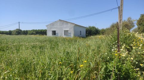 Parc. Rúst. en venta en El Palmar., imatge 5