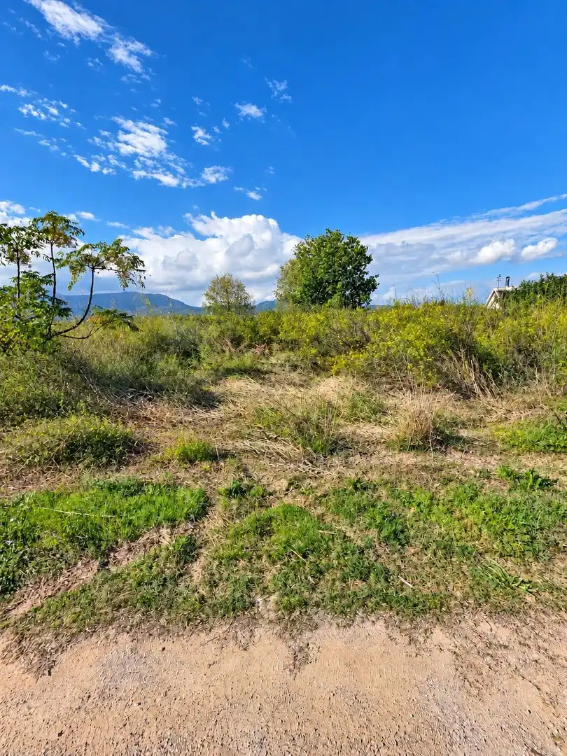 Rural land for sale in Polígono Sèquia de la Figuerola Dreta, imagen 17
