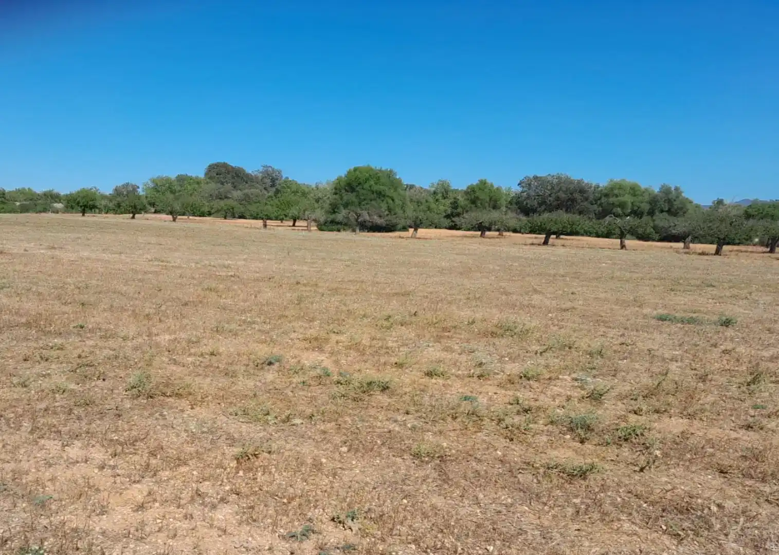 Finca rústica en venda en Porreres