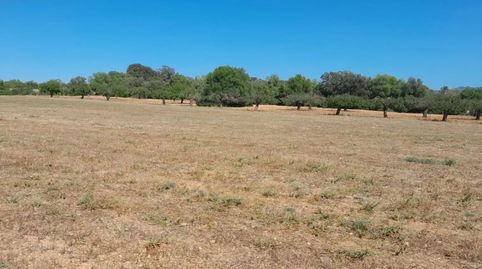 Foto 4 de Finca rústica en venda a Carrer de la Lluna, 8, Porreres, Illes Balears