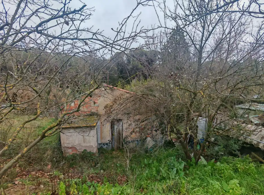 Terreni e lotti in vendita a Zona Industrial, imagen 4