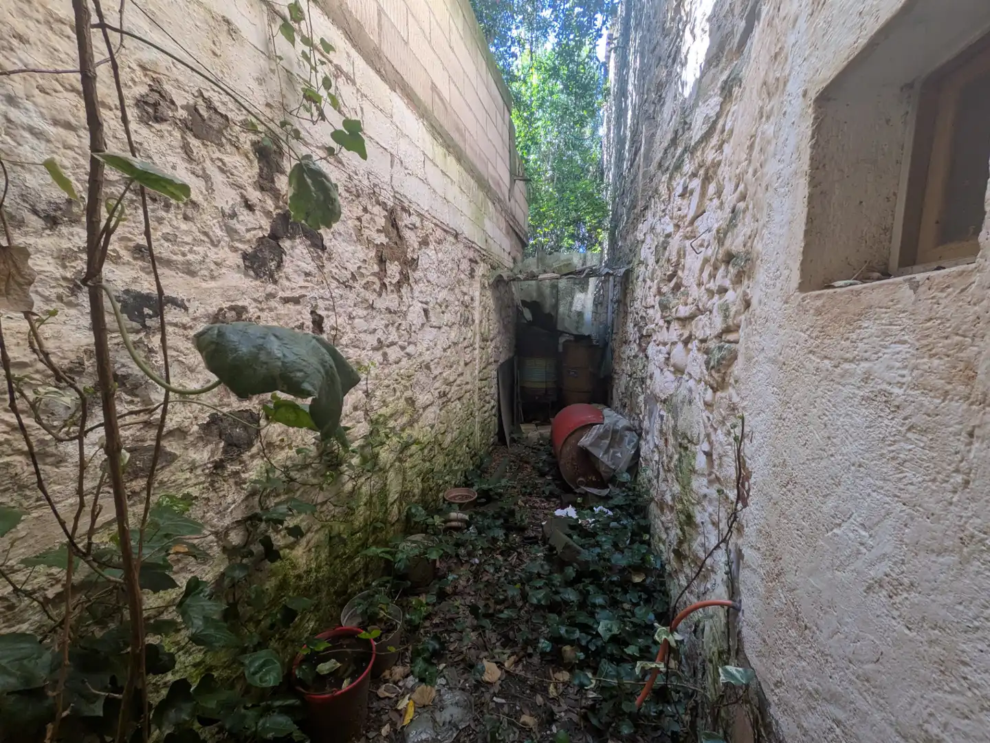 Finca rústica en venta en Sallent