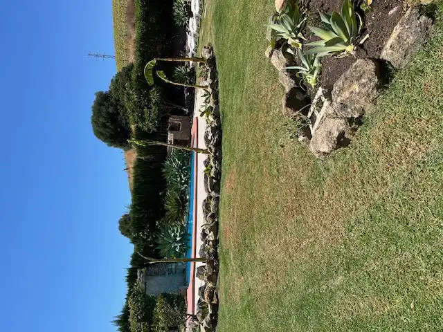 Jardí de Apartament de lloguer en Vejer de la Frontera amb Terrassa