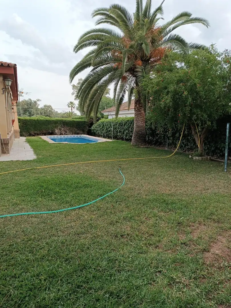 Chalet con piscina en venta en Carmona, imagen 11