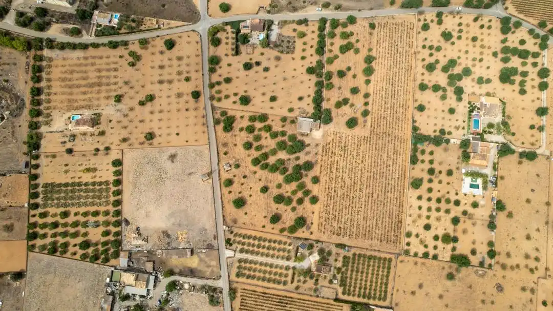 Land for sale in Consell