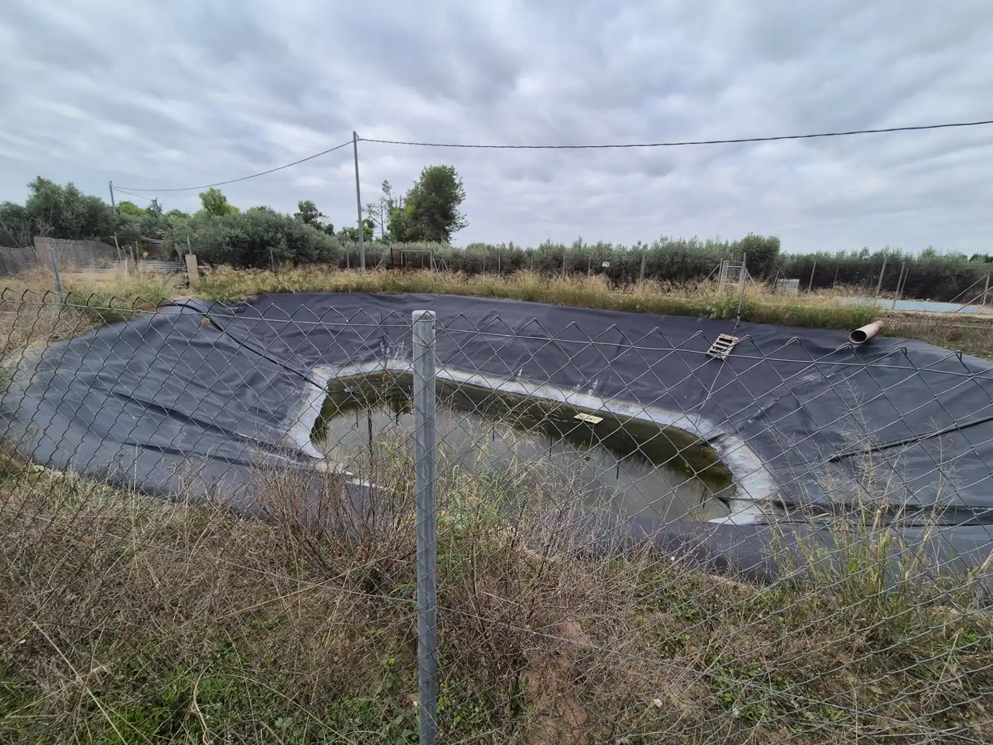 Piscina de Finca rústica en venda en Las Torres de Cotillas amb Jardí privat, Terrassa i Traster
