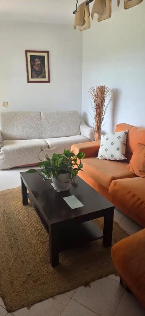 Living room of Flat for sale in Bareyo  with Furnished, Oven and Washing machine