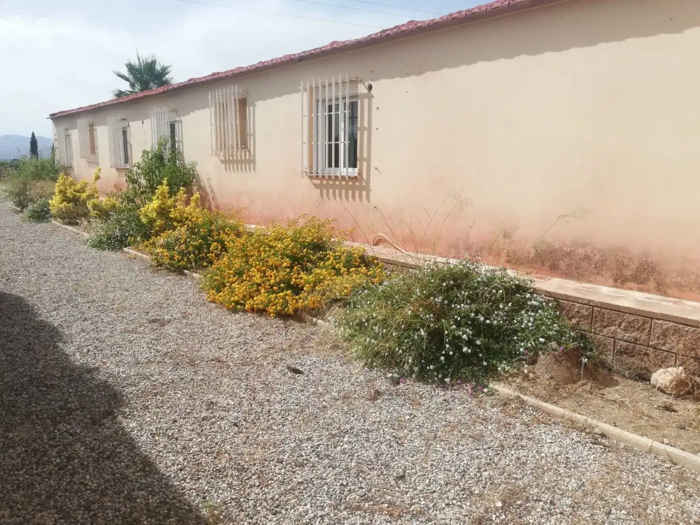 Exterior view of Commercial properties for sale in Lorca