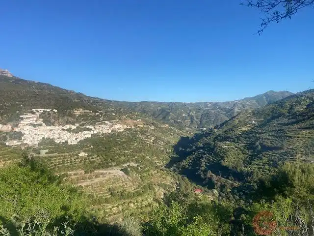 Vista exterior de Casa o chalet en venta en Otívar con Terraza y Amueblado