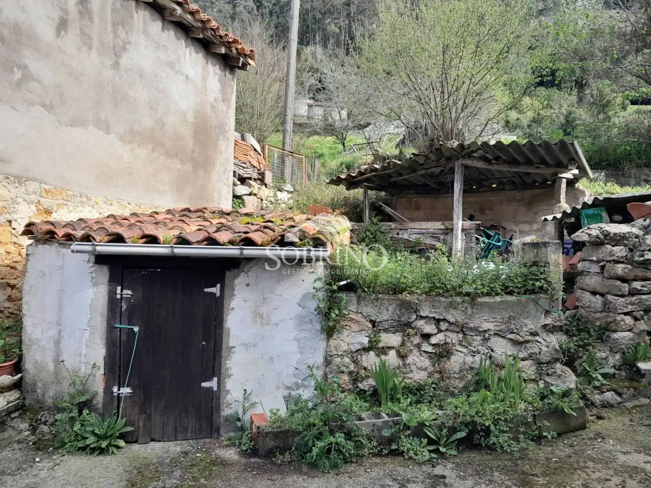 Vista exterior de Casa o chalet en venta en Peñamellera Baja con Jardín privado