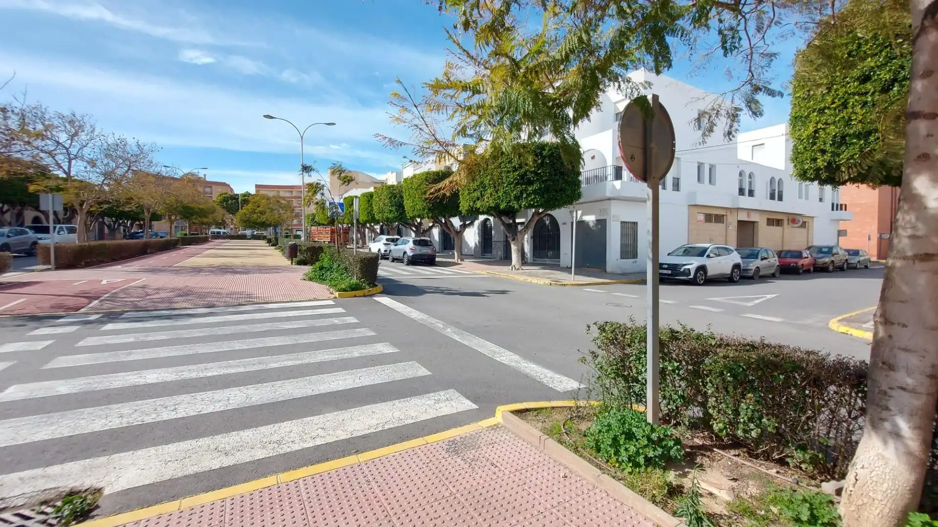 Business premises for sale in El Ejido Ciudad, imagen 2