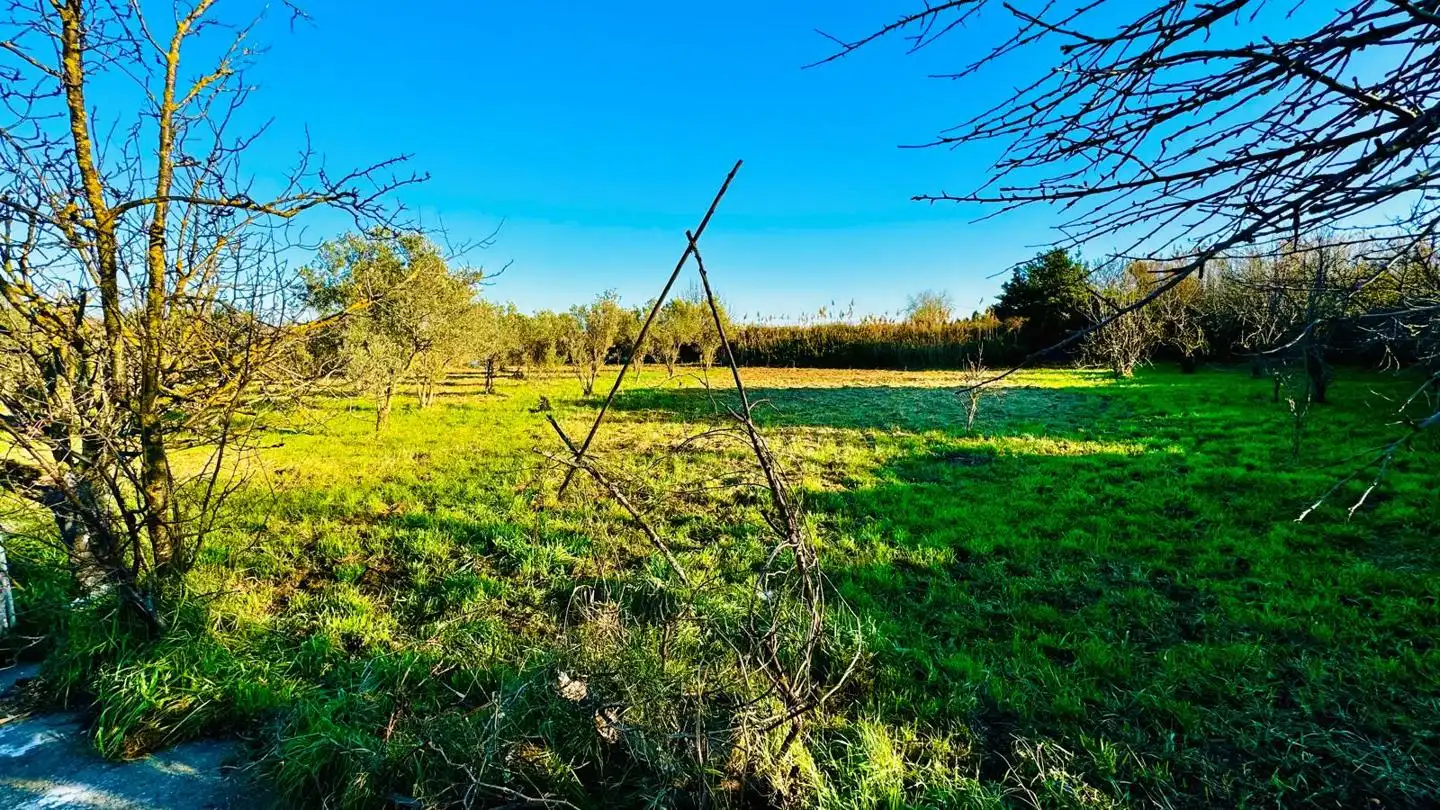 Finca rústica en venta en Tudela con Jardín privado