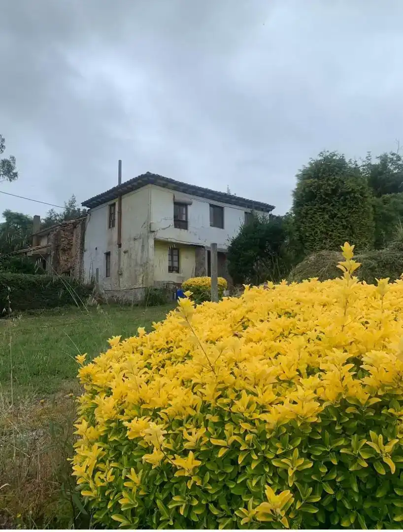 Vista exterior de Casa adosada en venda en Villaviciosa