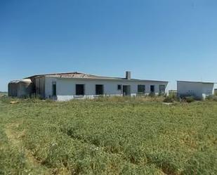 Exterior view of Land to rent in Alcázar de San Juan