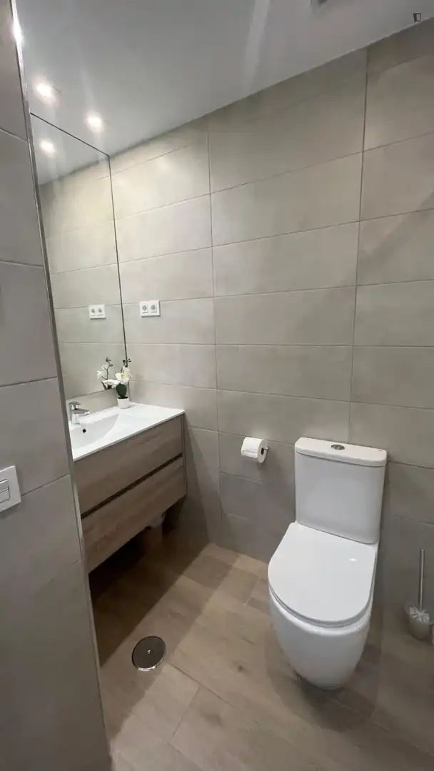 Bany de Apartament de lloguer en Madrid amb Aire condicionat, Calefacció i Moblat