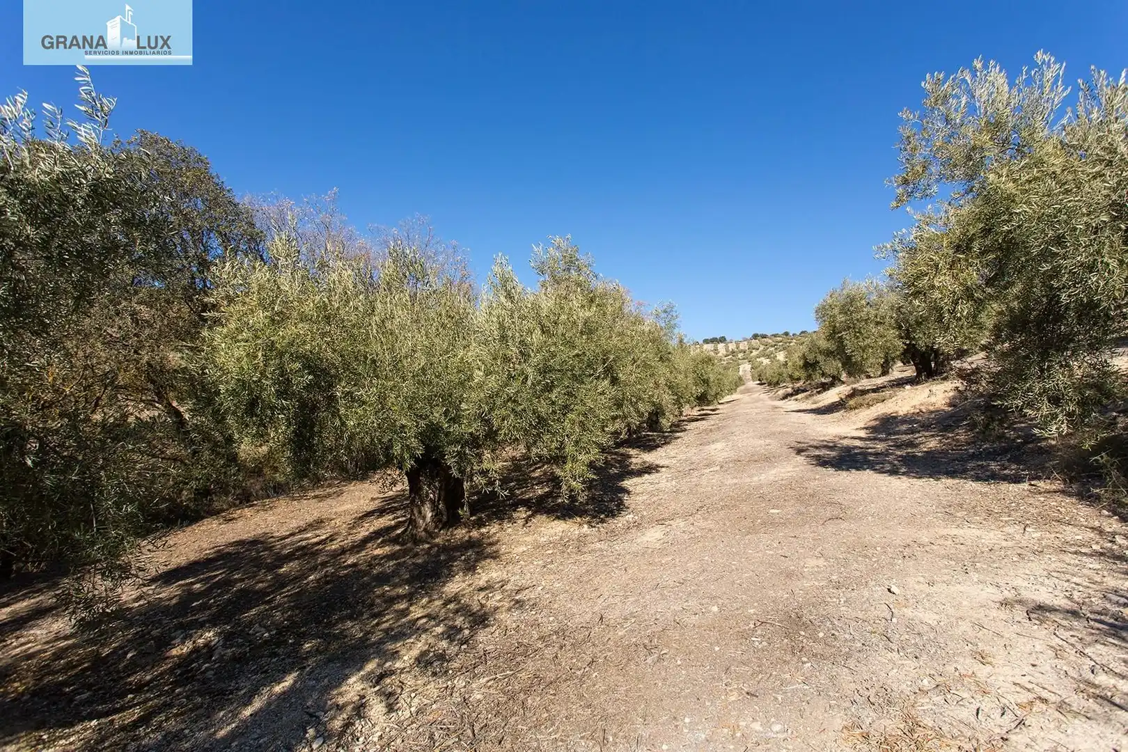 Land for sale in Campotéjar