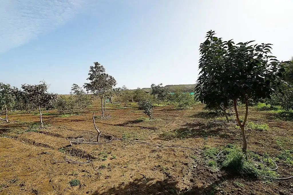 Finca rústica en venta en Camino DEHESA, 10, Santa María de Guía de Gran Canaria