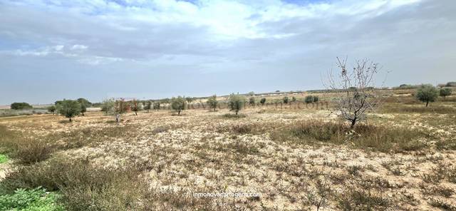Terreno en Venta en Perín