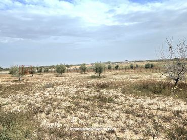 Terreno rustico in vendita a Pedanías Oeste