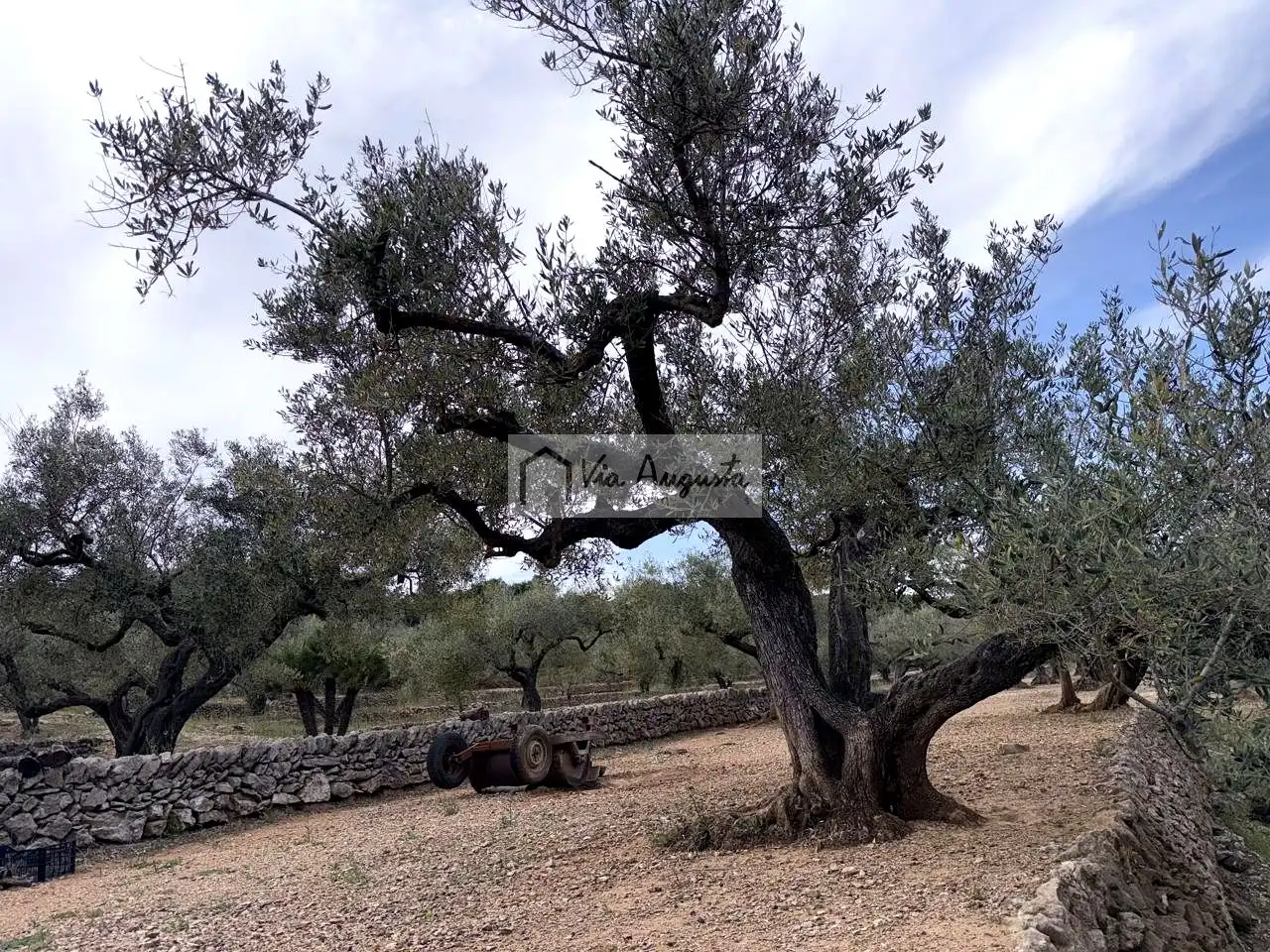 Country homes for sale in Tortosa