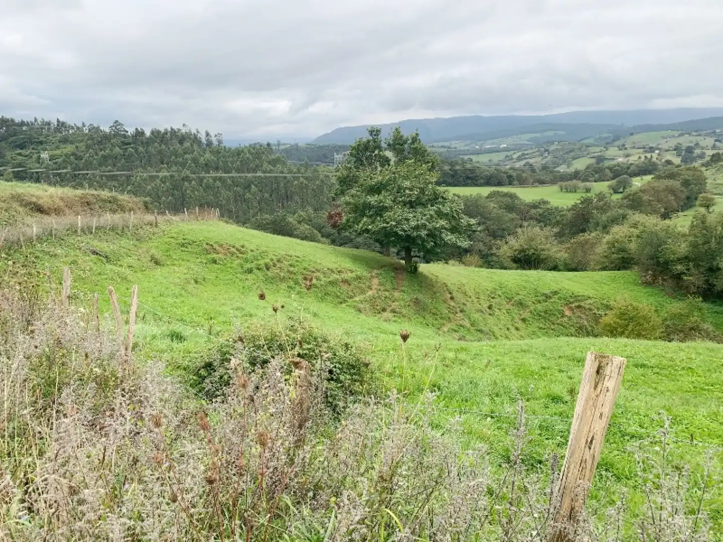 Terreno en venta en Udías