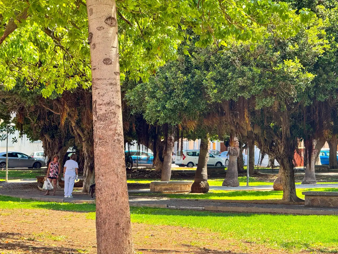 Vista exterior de Apartamento en venta en Torrevieja con Aire acondicionado, Calefacción y Terraza