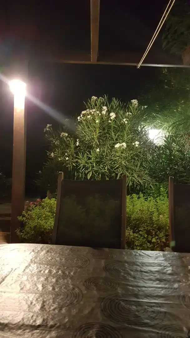 Villa con terrazza in vendita a Perleta - Maitino, imagen 88