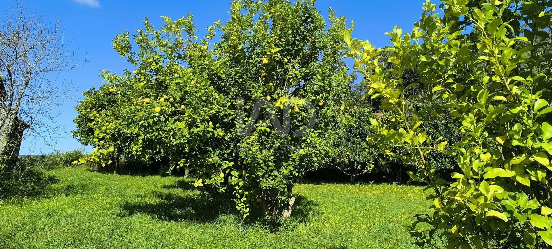 Finca rústica en venda en Vilarmaior