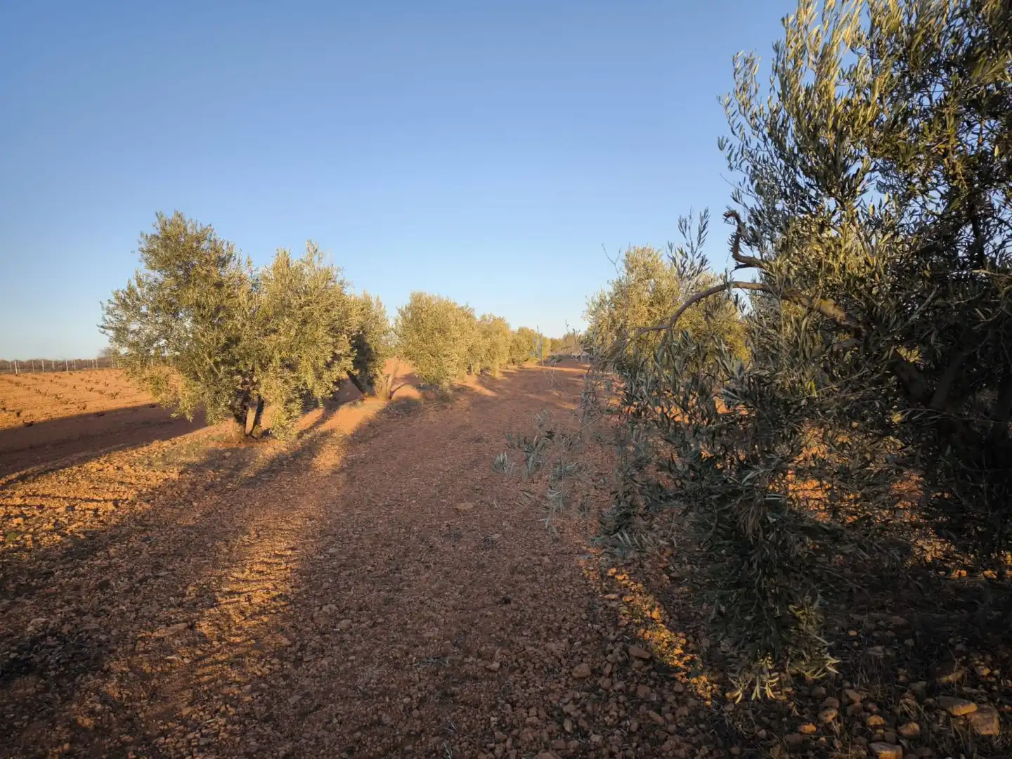 Casa o chalet en venta en Valdepeñas