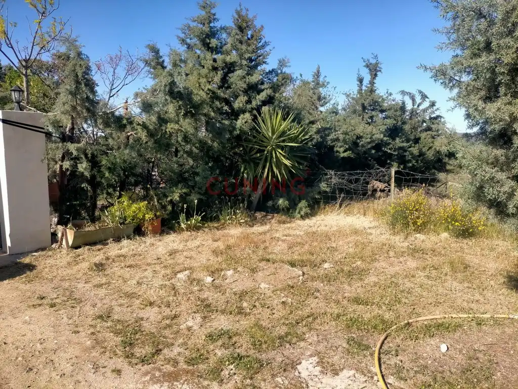 Casa rustica in vendita a Poligono 2 Paraje 95 Dehesa Boyal, imagen 15