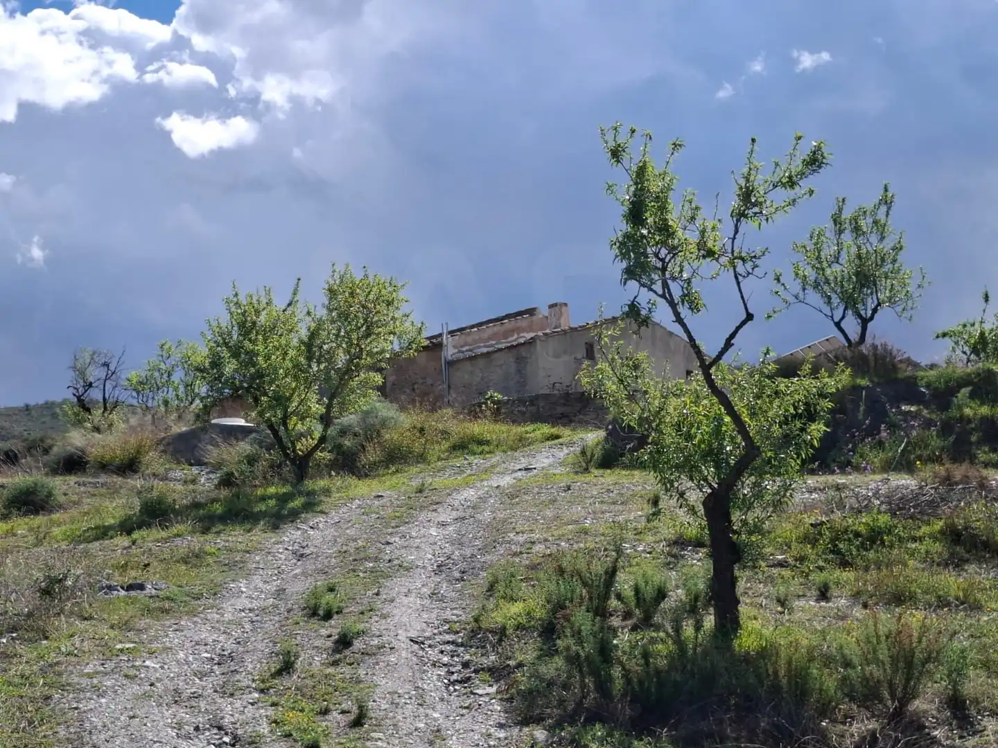Casa rústica en venda a Pedanías Sur, imagen 34