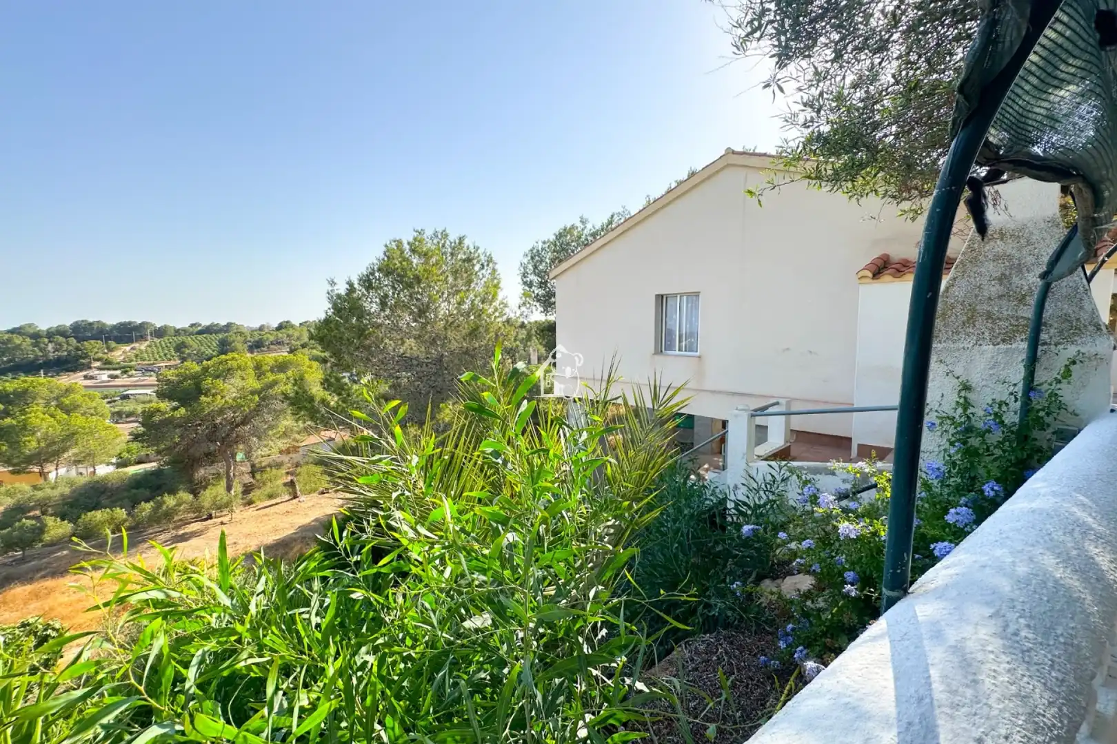 Garten von Country house zur Miete in Pilar de la Horadada mit Privatgarten, Terrasse und Abstellraum