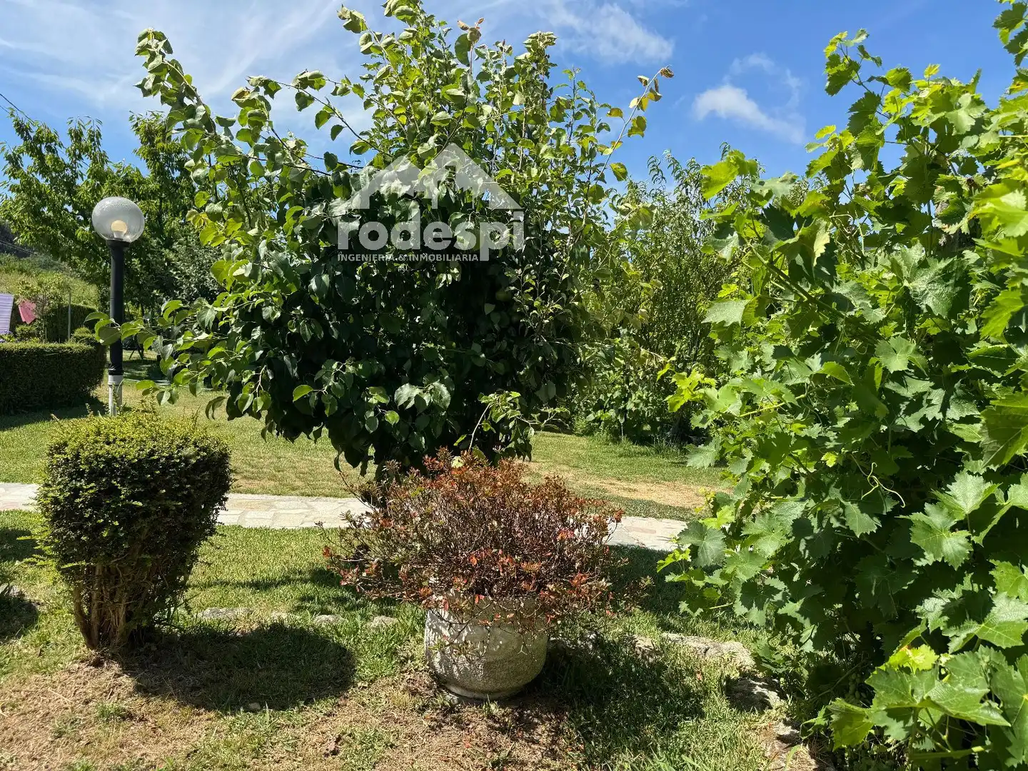 Casa o xalet en venda en Arbo amb Moblat