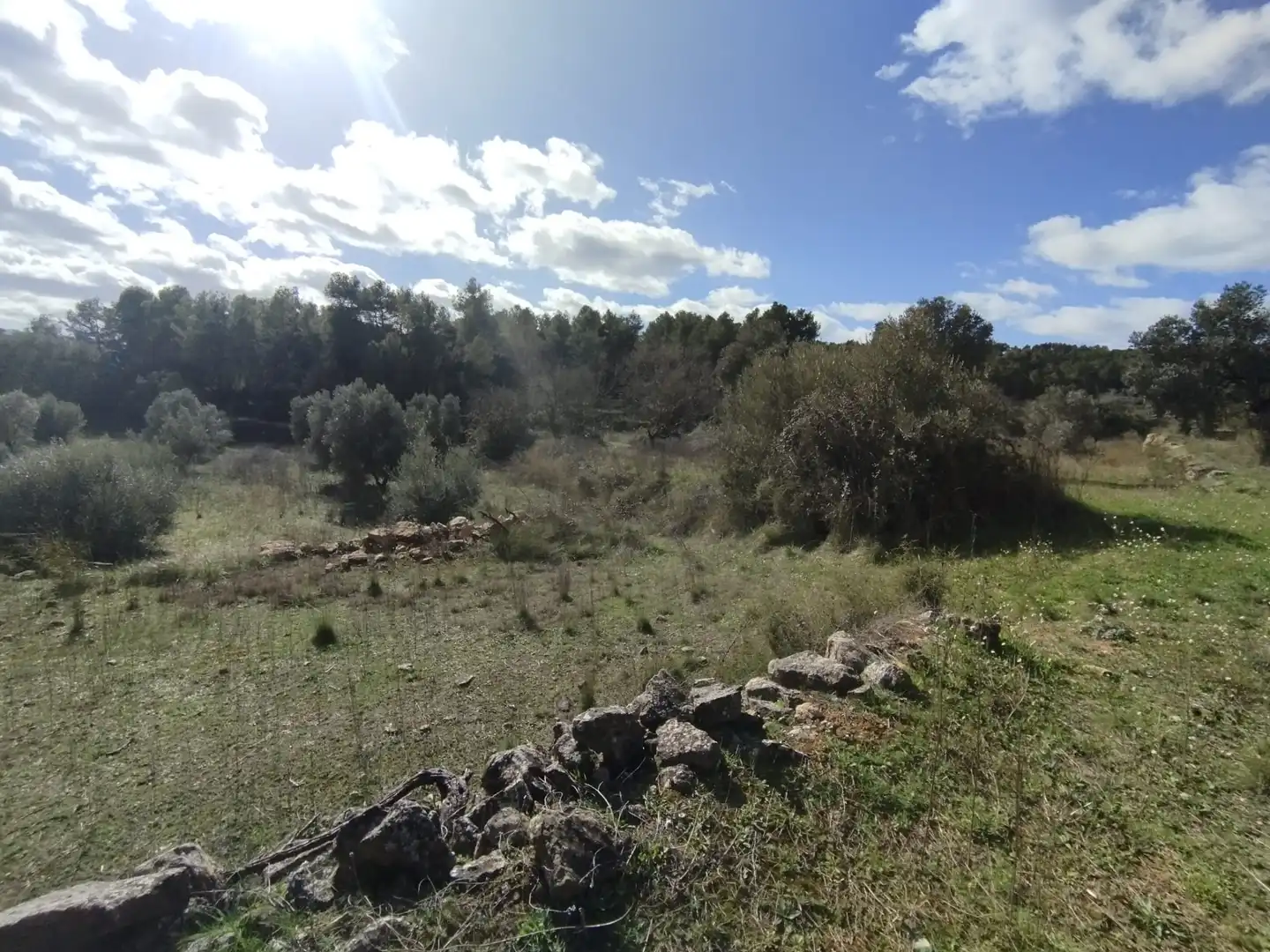Terreni e lotti in vendita a Lledó, imagen 9
