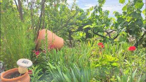 Foto 4 de Finca rústica en venda a Calle Morro Blanco, Centro, Santa Cruz de Tenerife