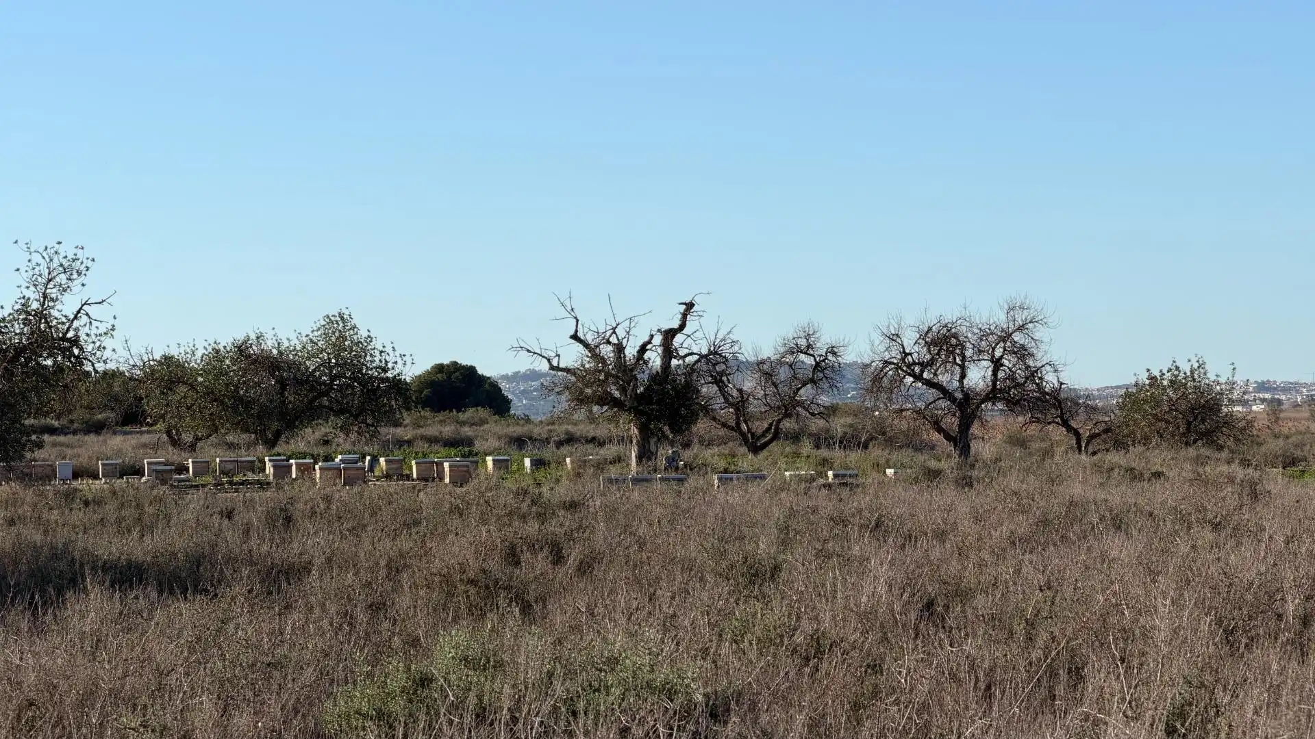 Terreno residencial en venta en La Marina, imagen 30