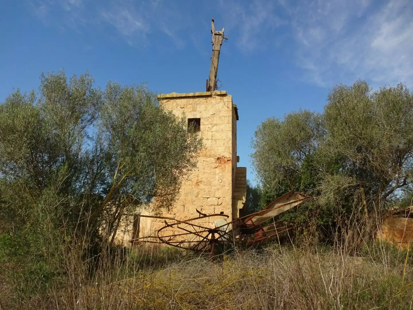 Vista exterior de Finca rústica en venta en  Palma de Mallorca