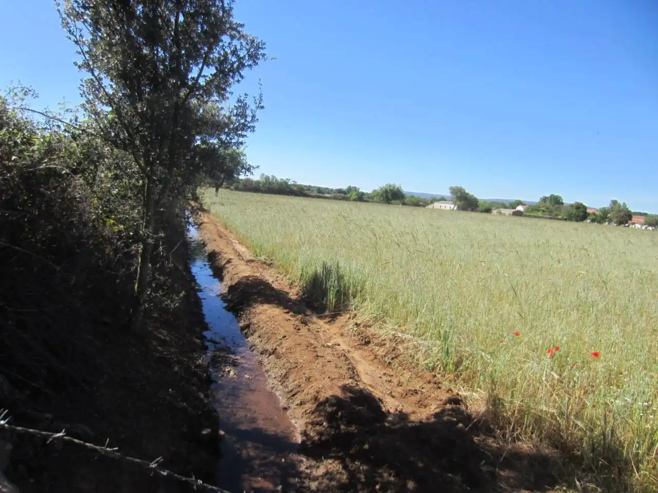 Terreno rustico in vendita a Calle RONDA DEL MEDIODIA, imagen 50