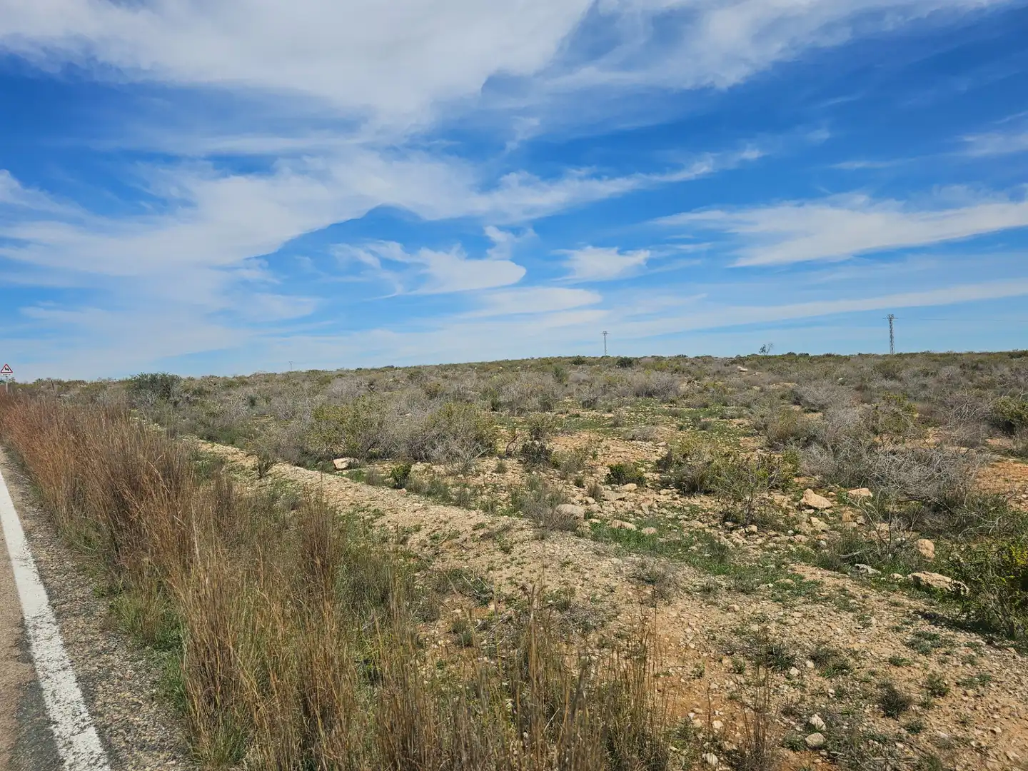 Lands and plots for sale in Mula, imagen 7