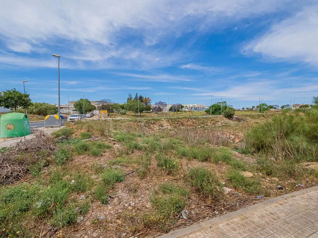 Lands and plots for sale in Sector 12 Nuevo Parque, imagen 6