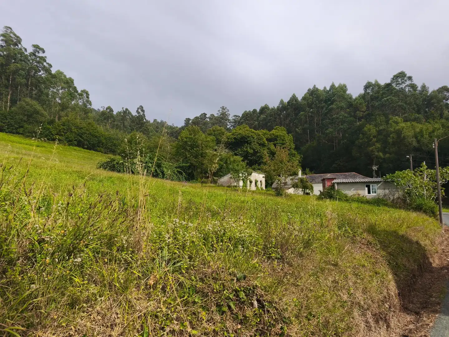 Casa en venda a SEARA. FERREIRA, imagen 40