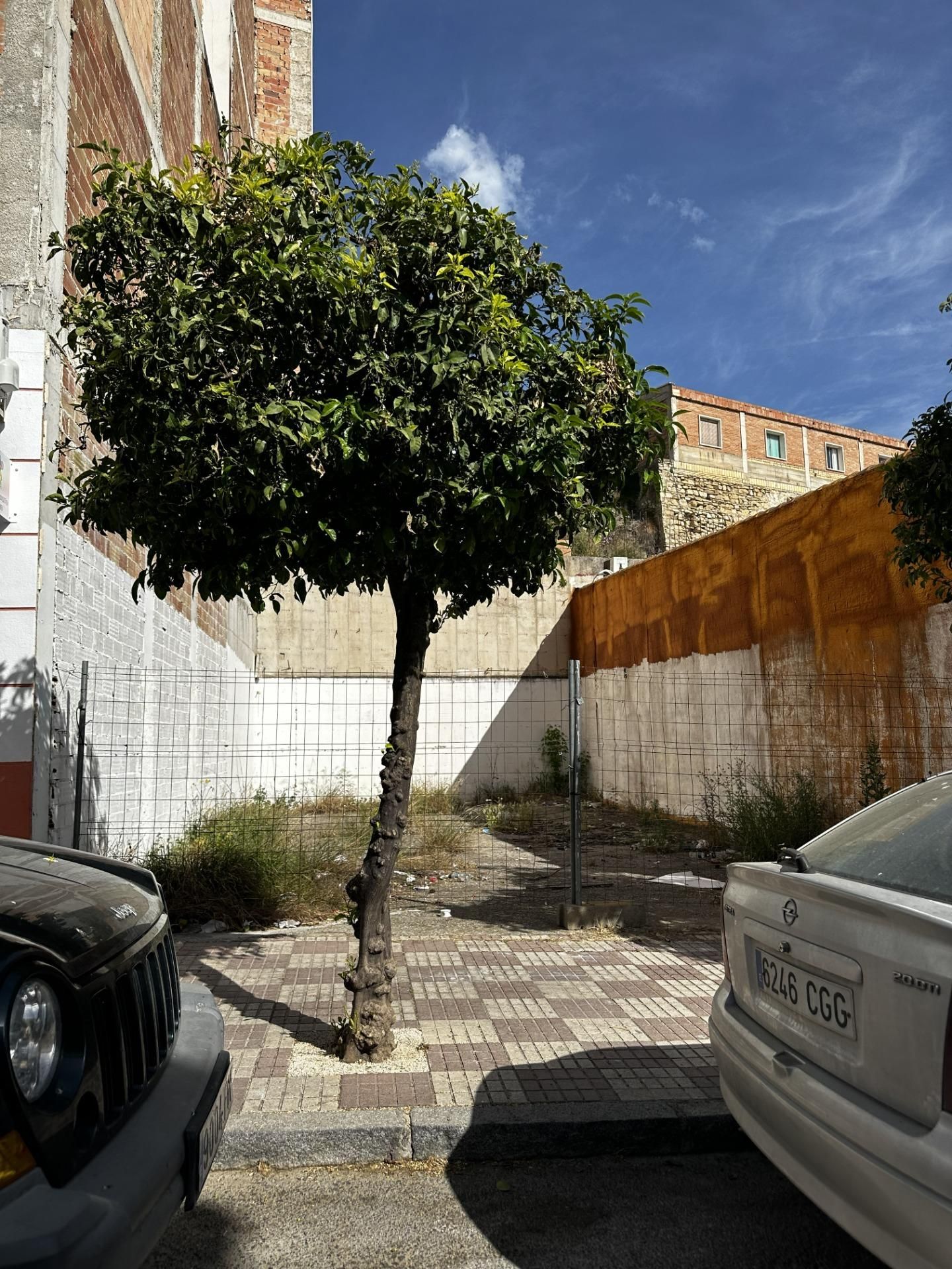 Garden of Residential for sale in Espejo