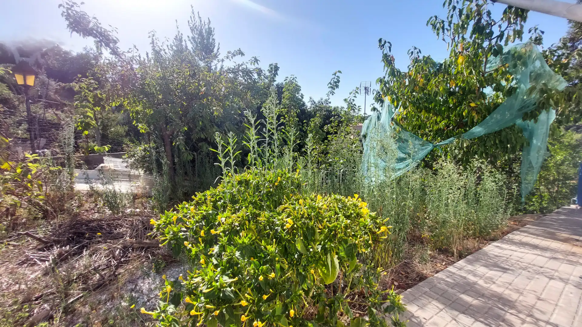 Detached house with garden for sale in Carrer Mont Perdut, imagen 31